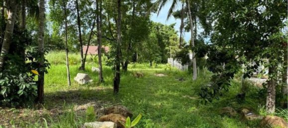  Commercial property in Surat Thani, Thailand No. 24941 4