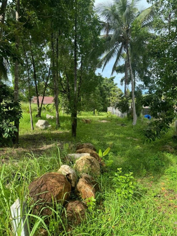 Terrain à Surat Thani, Thailand No. 24941