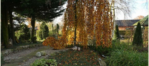 2 Schlafzimmer Gewerbliche Immobilie in Emsland, Germany, Nr. 208120 20
