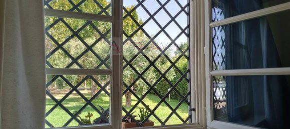 6 bedrooms Villa in Forte dei Marmi, Italy No. 37153 14