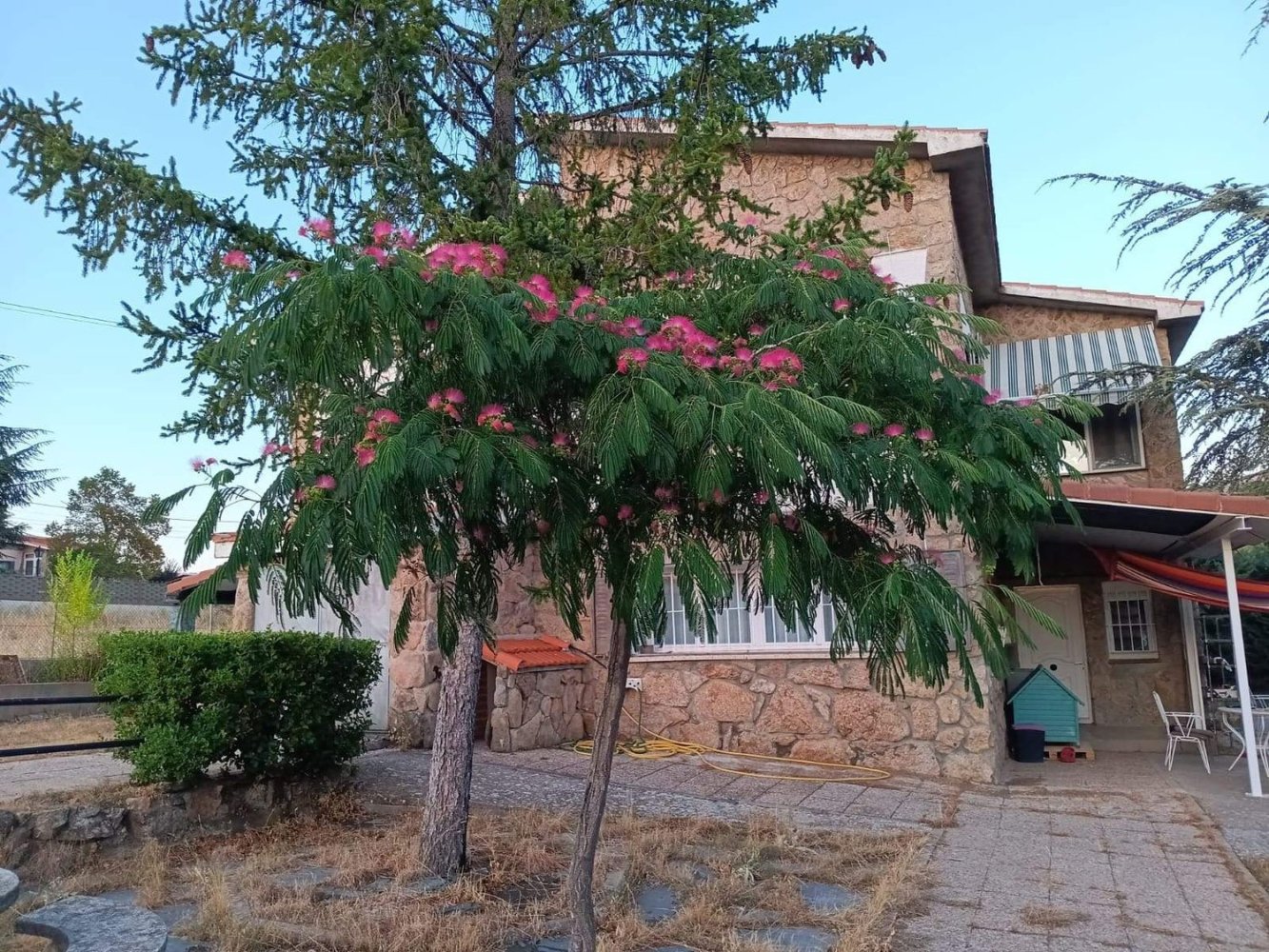 4 Schlafzimmer Haus in Santa Maria de la Alameda, Spain, Nr. 109232