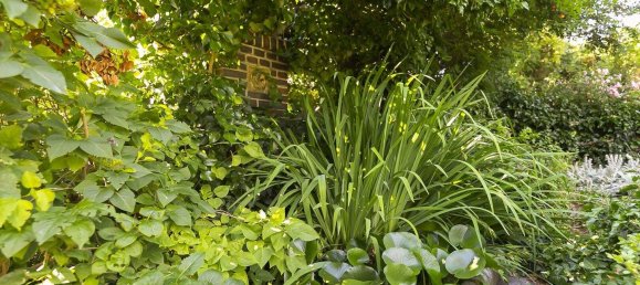 6-Zimmer Villa in Hietzing, Austria, Nr. 187431 23