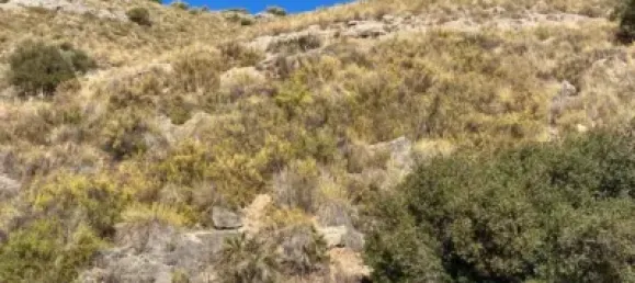 Terreno em Coin, Spain N.º 140205 11