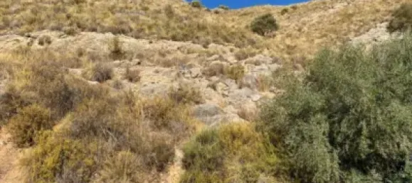 Terreno em Coin, Spain N.º 140205 8