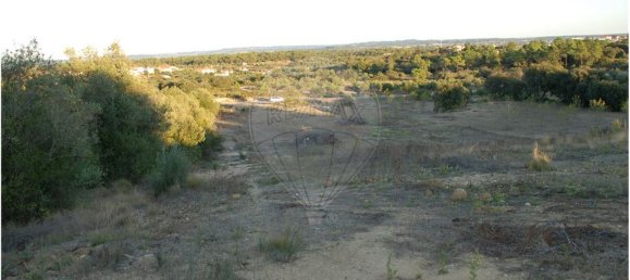 Terreno en Golega, Portugal 5771 m² No. 64166 4