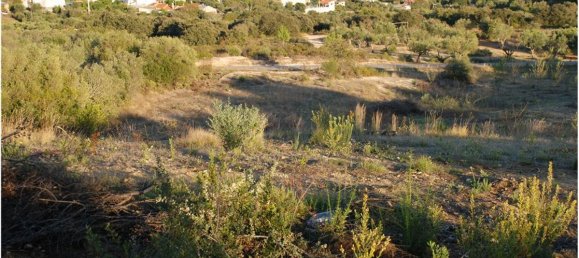 Terreno en Golega, Portugal 5771 m² No. 64166 2