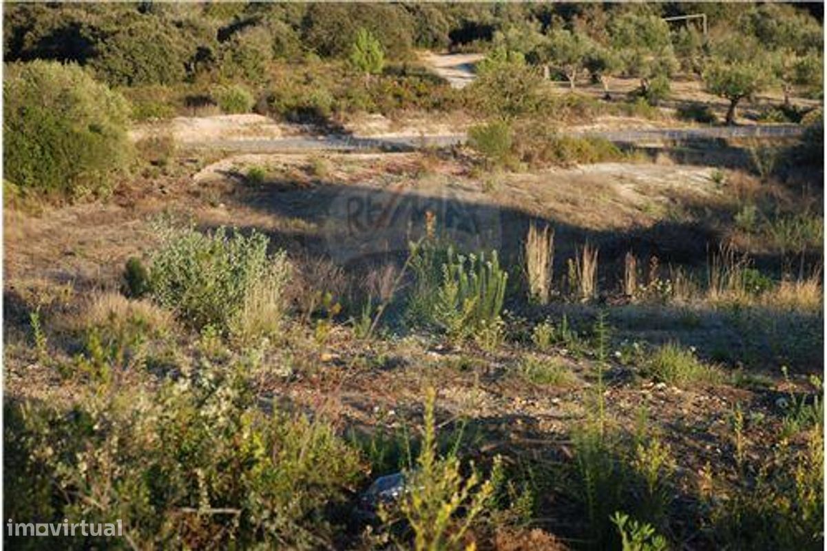 Terreno en Golega, Portugal 5771 m² No. 64166