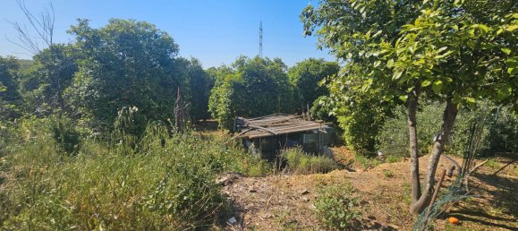 3 Schlafzimmer Haus in Andalusia, Spain, Nr. 157844 6