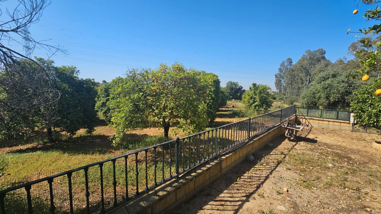 3 Schlafzimmer Haus in Andalusia, Spain, Nr. 157844