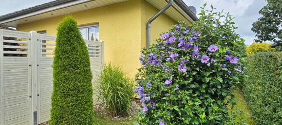 3-Zimmer Bungalow in Vorpommern-Greifswald, Germany, Nr. 269299 6