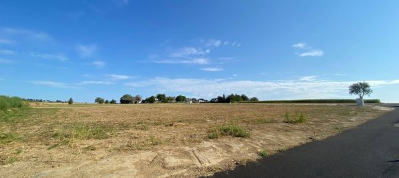 Terrain à Buchkirchen, Austria 1769m² No. 40181 2