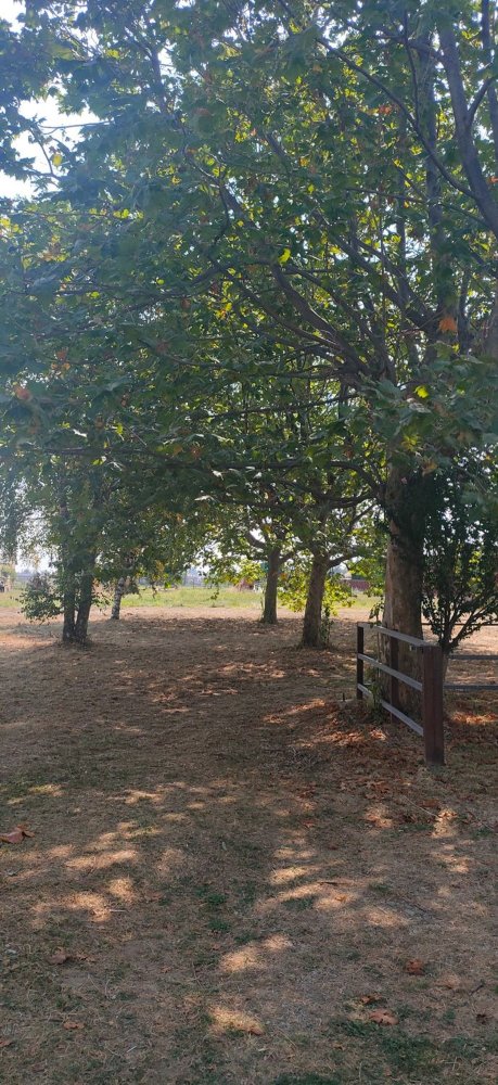 590m² Commercial property in Valperga, Italy No. 251496