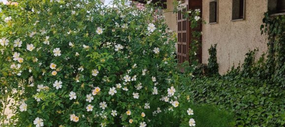 590m² Commercial property in Valperga, Italy No. 251496 2