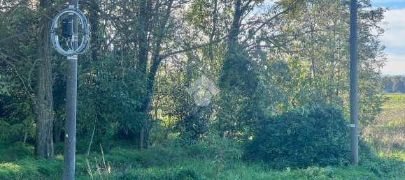 Grundstück in Ravenna, Italy 13630m², Nr. 143626 6