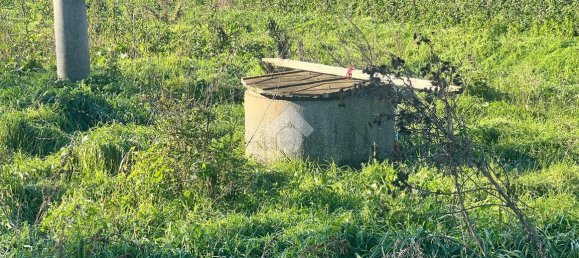 Grundstück in Ravenna, Italy 13630m², Nr. 143626 4