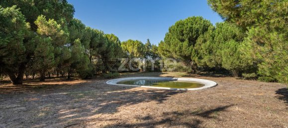 4 bedrooms House in Santarem, Portugal No. 132873 18