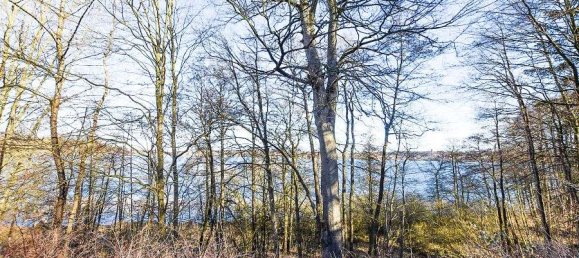 547m² Hotel in Duchy of Lauenburg, Germany No. 227077 6