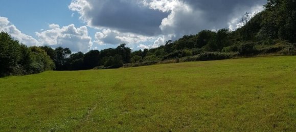 2 chambres Maison à Rouessé-Vassé, France No. 303597 2