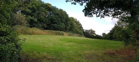 2 chambres Maison à Rouessé-Vassé, France No. 303597 3