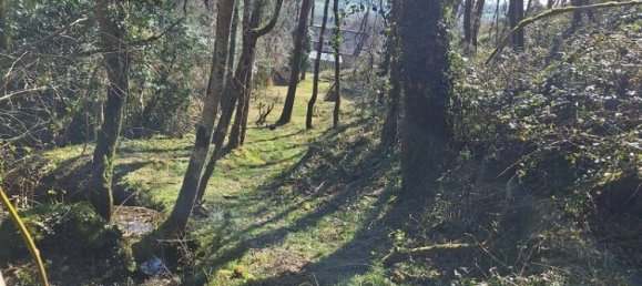 2 chambres Maison à Rouessé-Vassé, France No. 303597 4