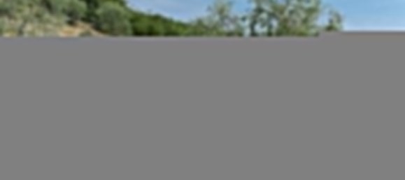 4 غرف نوم منزل في Radda in Chianti, Italy رقم 127764 27