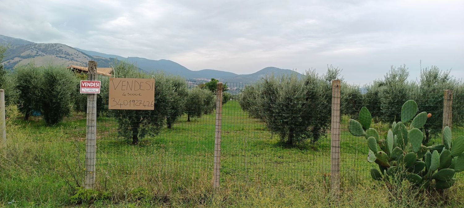 11715m² Land in Cori, Italy No. 111351