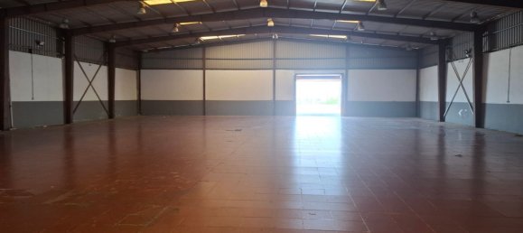  عقار تجاري في San Roque, Spain 3355متر مربع رقم 185638 4