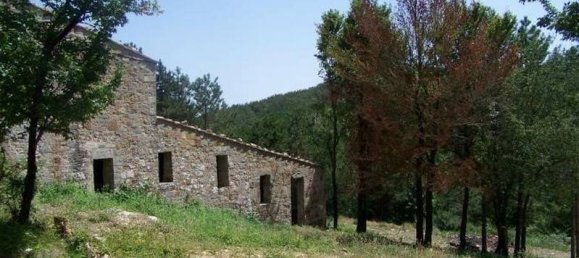 6 chambres Bâtiment à Radicondoli, Italy No. 60923 8