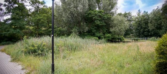 Terreno em Dahme-Spreewald, Germany N.º 17259 3