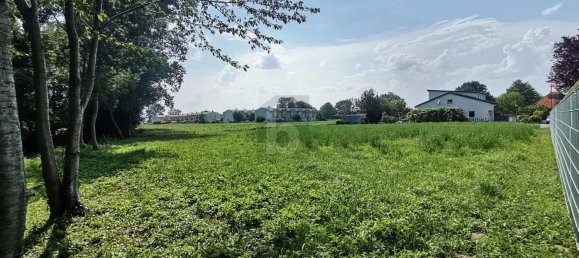 Terreno en Ebenfurth, Austria No. 194173 3