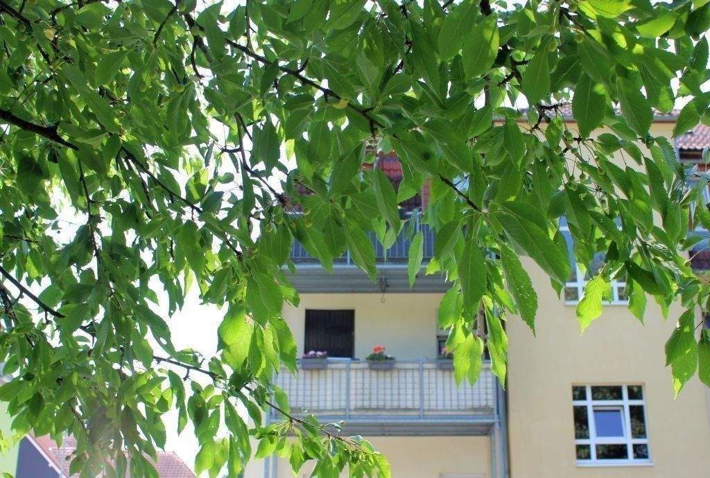 Apartamento de 3 divisões em Sachsische Schweiz-Osterzgebirge, Germany N.º 264761