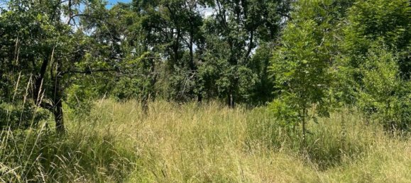 8-salle Maison à Vorpommern-Greifswald, Germany No. 311449 5