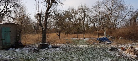 8-salle Maison à Vorpommern-Greifswald, Germany No. 311449 13