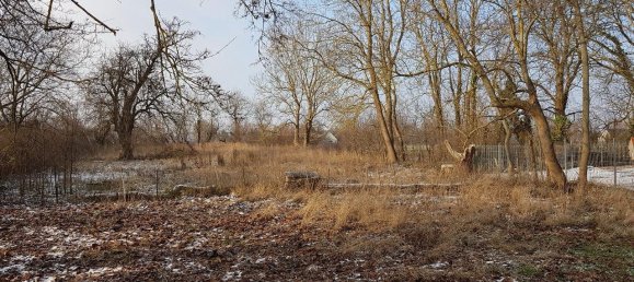 8-salle Maison à Vorpommern-Greifswald, Germany No. 311449 11