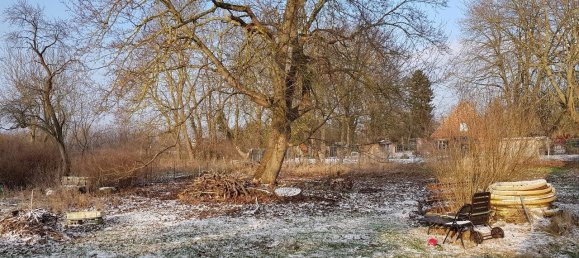 8-salle Maison à Vorpommern-Greifswald, Germany No. 311449 15