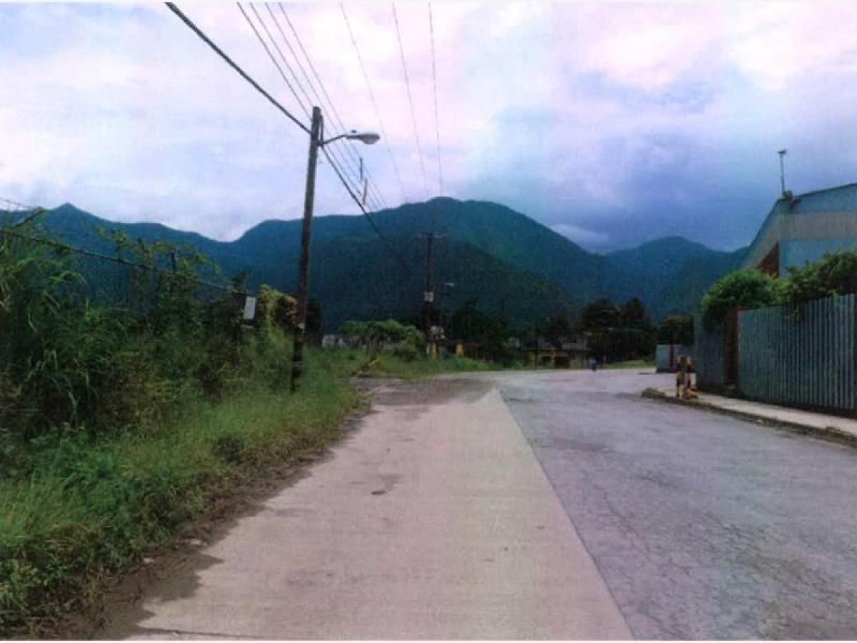  Land in Veracruz, Mexico No. 206583