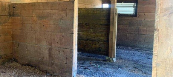  قطعة أرض في St. Veit an der Glan, Austria رقم 87668 9