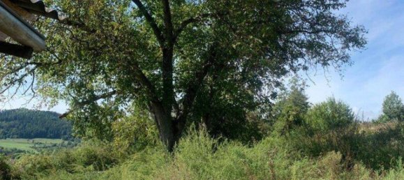  قطعة أرض في St. Veit an der Glan, Austria رقم 87668 6