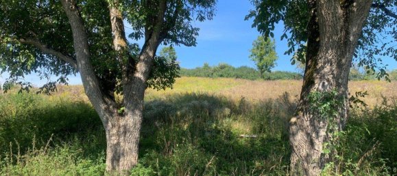  قطعة أرض في St. Veit an der Glan, Austria رقم 87668 4