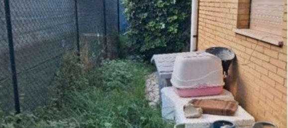 3 rooms Apartment in Ardea, Italy No. 25896 6