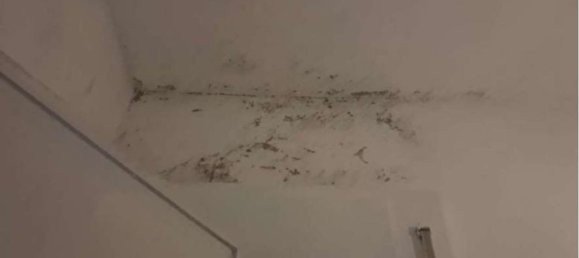 3 rooms Apartment in Ardea, Italy No. 25896 16