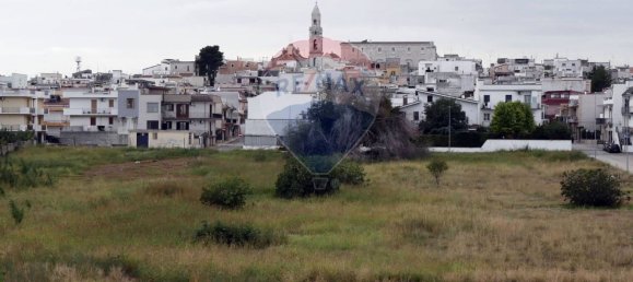 2 bedrooms Penthouse in Palo del Colle, Italy No. 165016 15