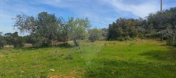 Land in Faro, Portugal No. 32626 7