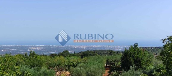 3 rooms Villa in Monopoli, Italy No. 177621 37