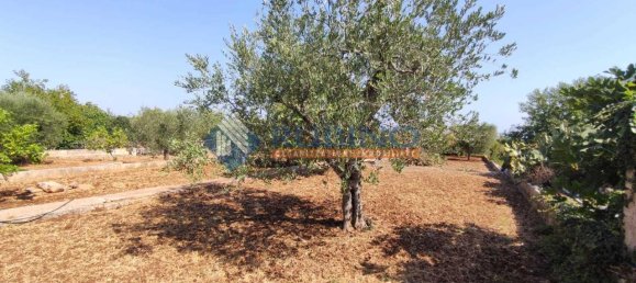 3 rooms Villa in Monopoli, Italy No. 177621 30