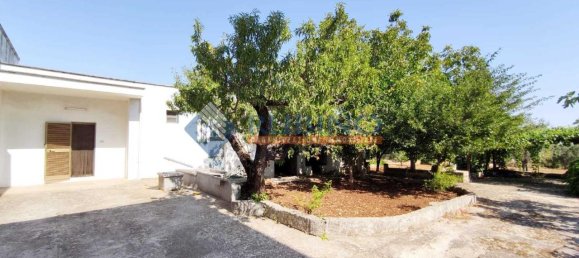 3 rooms Villa in Monopoli, Italy No. 177621 35