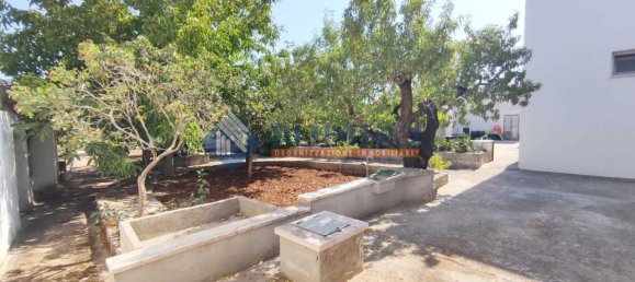 3 rooms Villa in Monopoli, Italy No. 177621 36