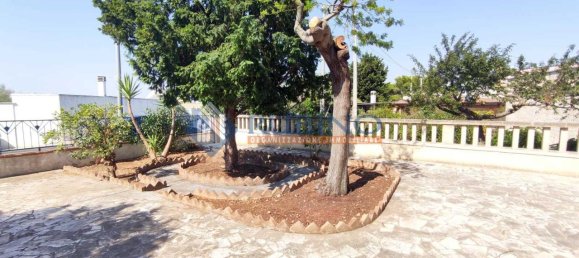 3 rooms Villa in Monopoli, Italy No. 177621 26