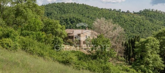 5 bedrooms House in San Casciano dei Bagni, Italy No. 27507 6
