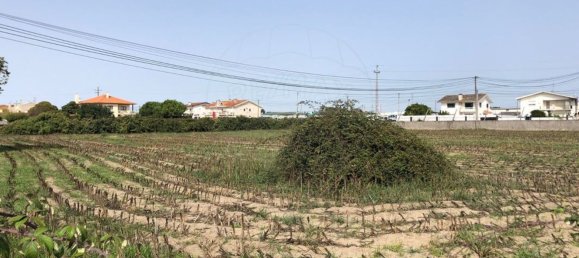 Terrain à Ovar, Portugal 2800m² No. 89016 4